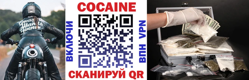 Cocaine Fish Scale  Купить закладки  Шацк 