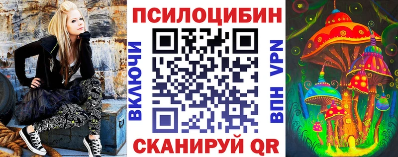 Купить  Шацк  Псилоцибиновые грибы прущие грибы 